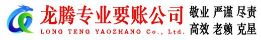 嘉鱼龙腾要账公司